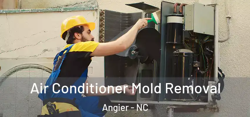  Air Conditioner Mold Removal Angier - NC