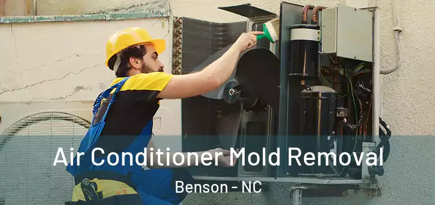  Air Conditioner Mold Removal Benson - NC