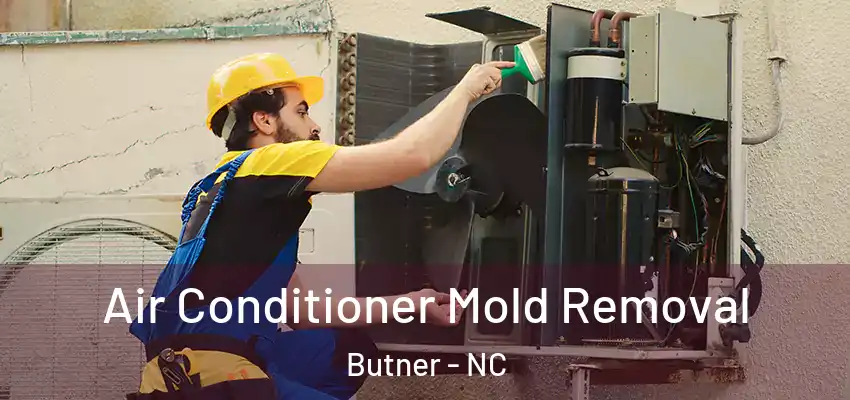 Air Conditioner Mold Removal Butner - NC