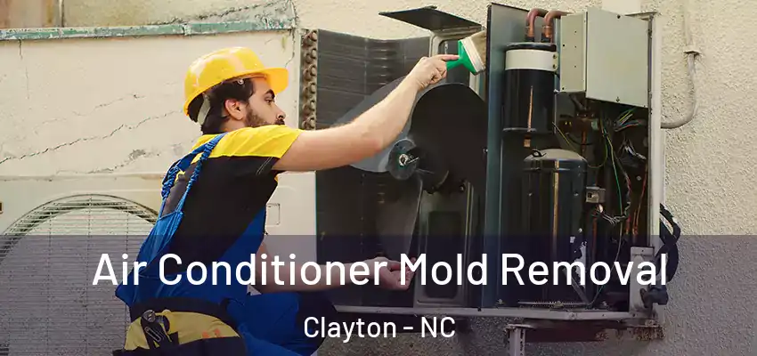  Air Conditioner Mold Removal Clayton - NC
