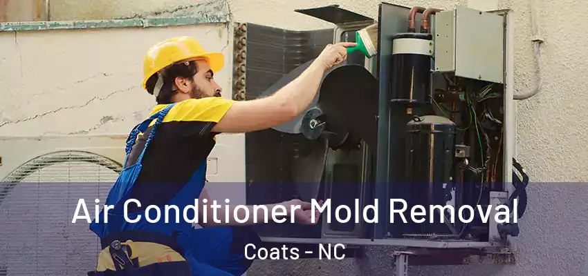  Air Conditioner Mold Removal Coats - NC