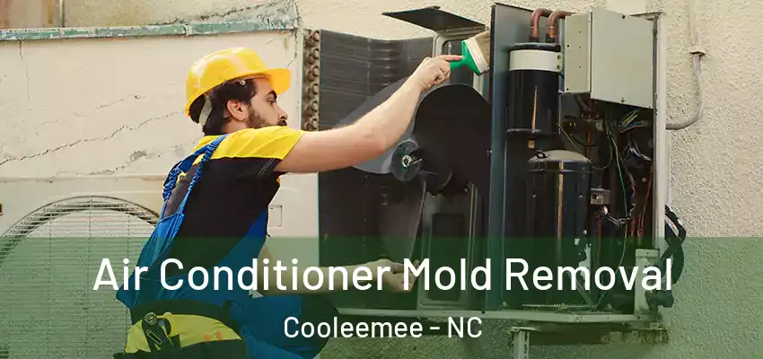 Air Conditioner Mold Removal Cooleemee - NC