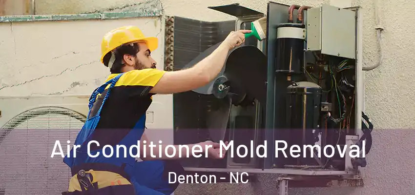 Air Conditioner Mold Removal Denton - NC