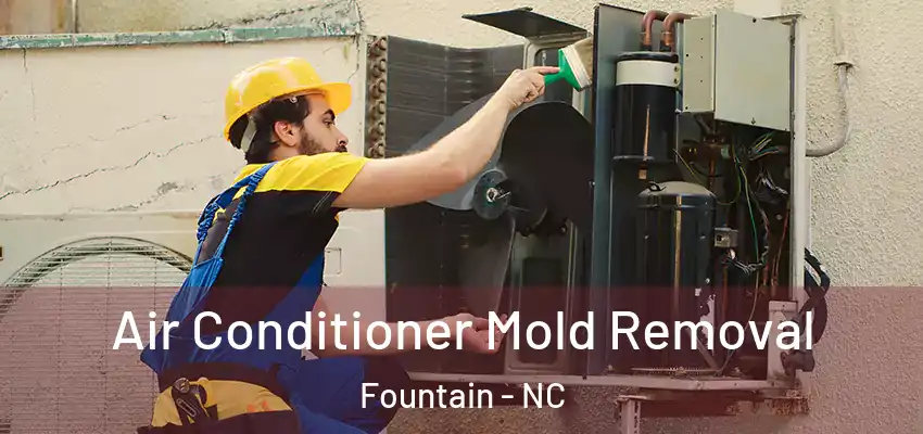 Air Conditioner Mold Removal Fountain - NC