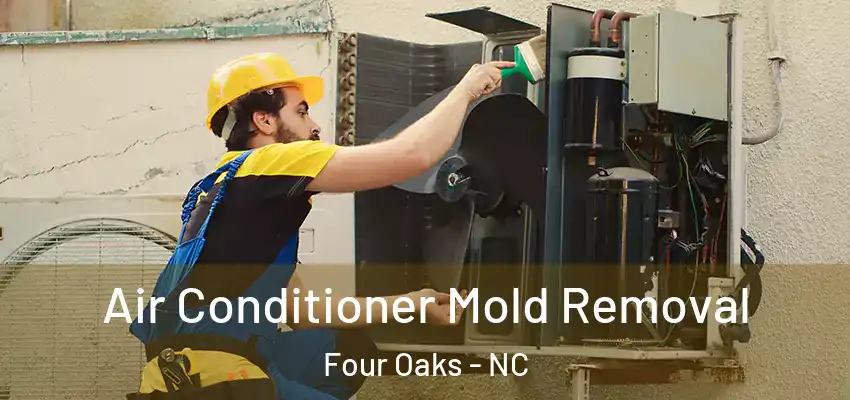  Air Conditioner Mold Removal Four Oaks - NC