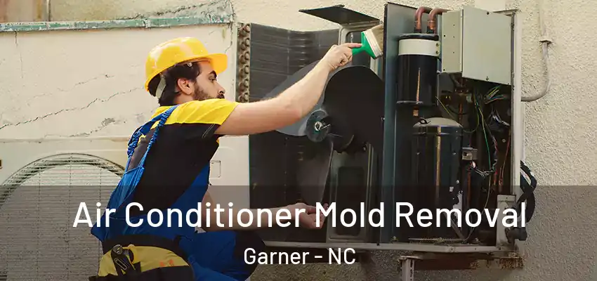  Air Conditioner Mold Removal Garner - NC