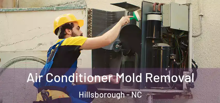 Air Conditioner Mold Removal Hillsborough - NC