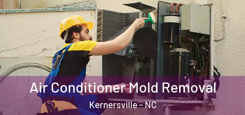 Air Conditioner Mold Removal Kernersville - NC