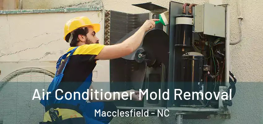  Air Conditioner Mold Removal Macclesfield - NC