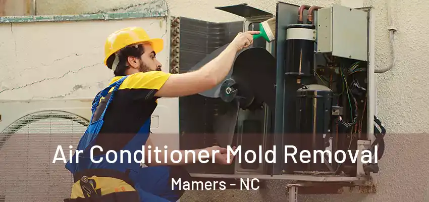  Air Conditioner Mold Removal Mamers - NC