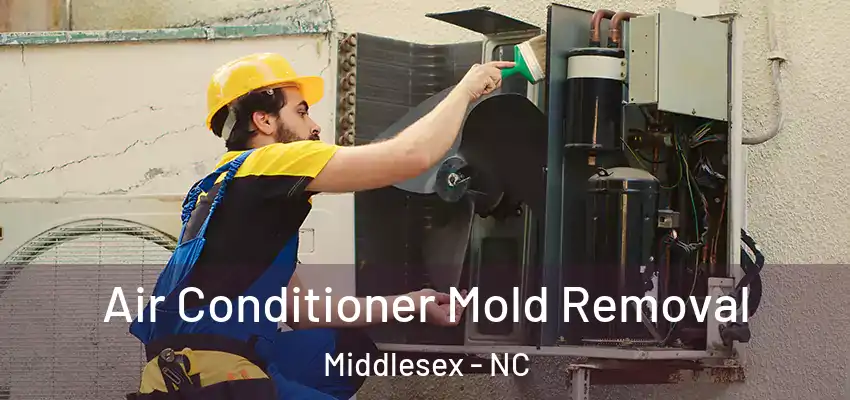  Air Conditioner Mold Removal Middlesex - NC