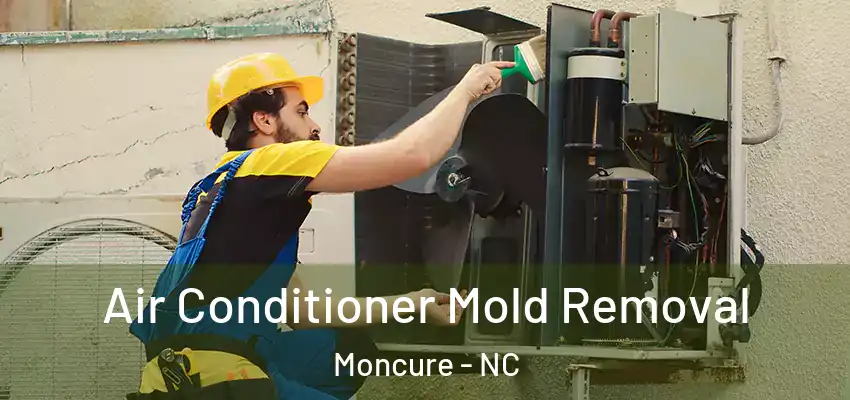 Air Conditioner Mold Removal Moncure - NC