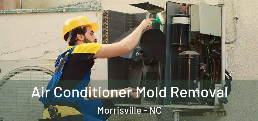  Air Conditioner Mold Removal Morrisville - NC