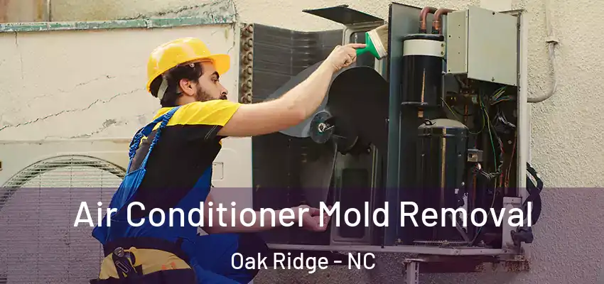  Air Conditioner Mold Removal Oak Ridge - NC