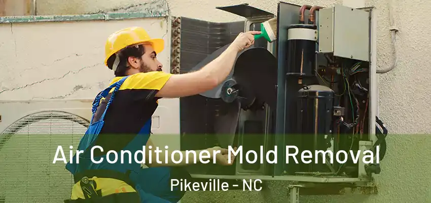  Air Conditioner Mold Removal Pikeville - NC