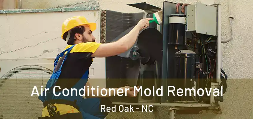 Air Conditioner Mold Removal Red Oak - NC