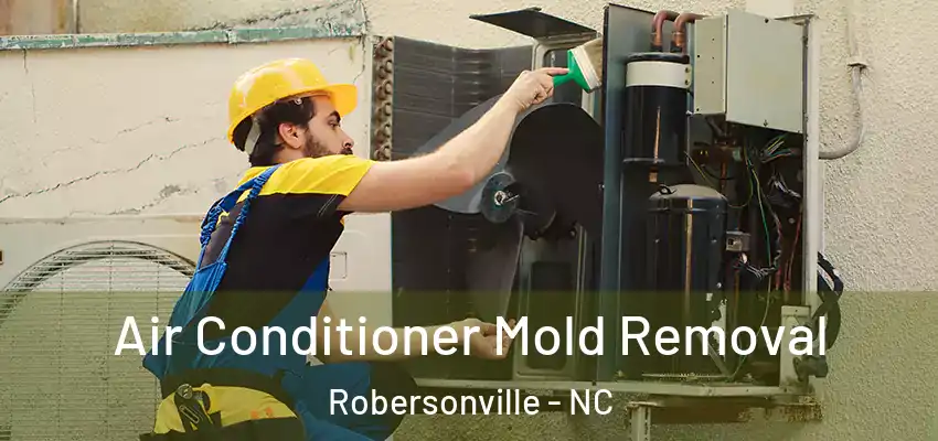 Air Conditioner Mold Removal Robersonville - NC