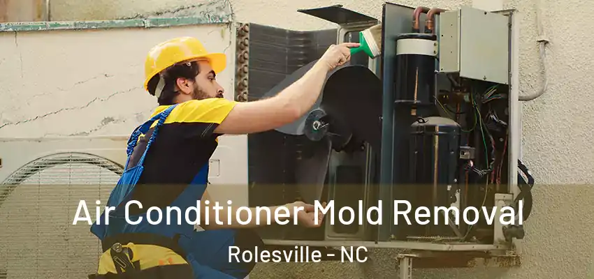 Air Conditioner Mold Removal Rolesville - NC