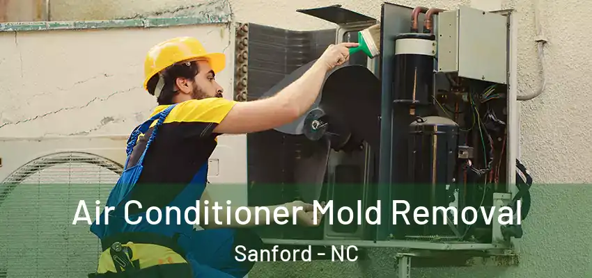 Air Conditioner Mold Removal Sanford - NC