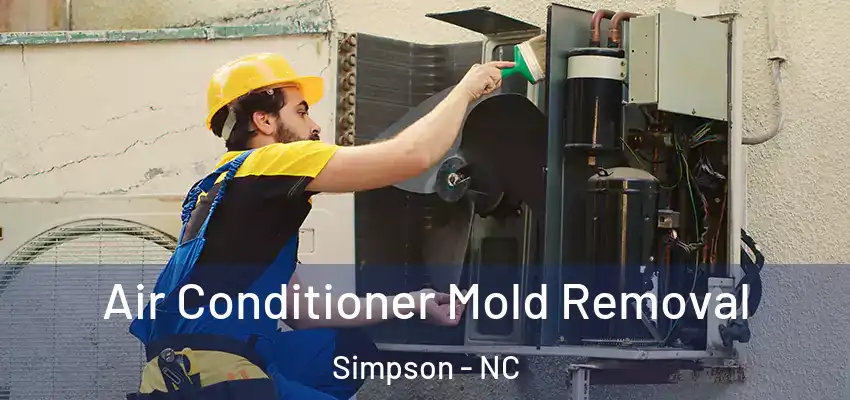 Air Conditioner Mold Removal Simpson - NC