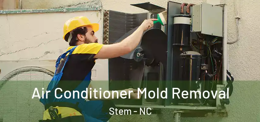 Air Conditioner Mold Removal Stem - NC