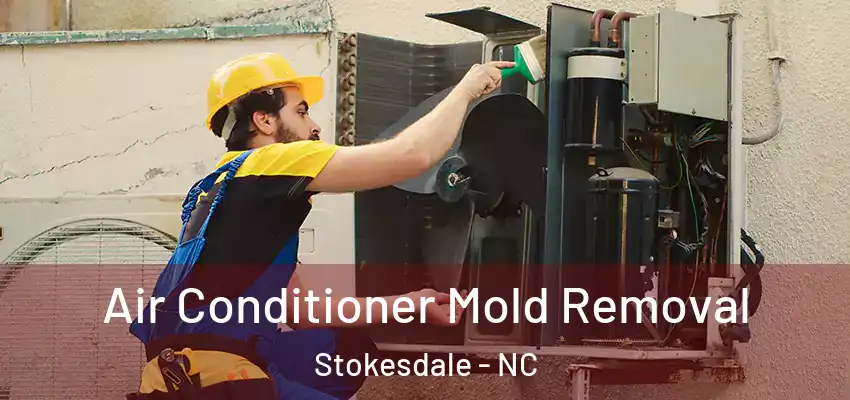  Air Conditioner Mold Removal Stokesdale - NC