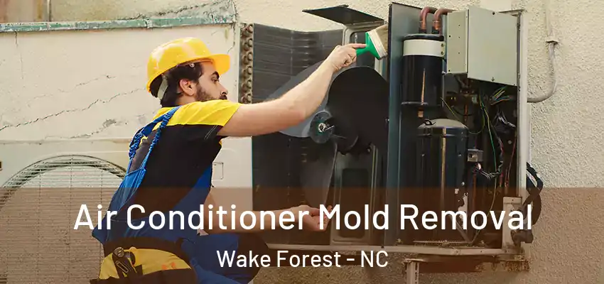 Air Conditioner Mold Removal Wake Forest - NC