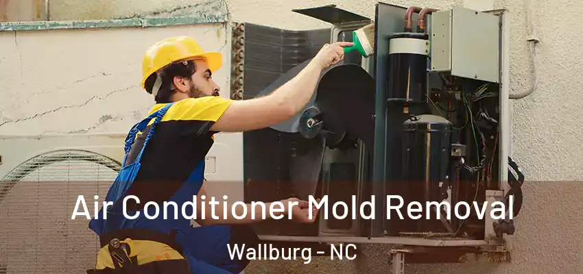  Air Conditioner Mold Removal Wallburg - NC