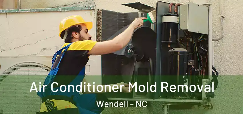  Air Conditioner Mold Removal Wendell - NC