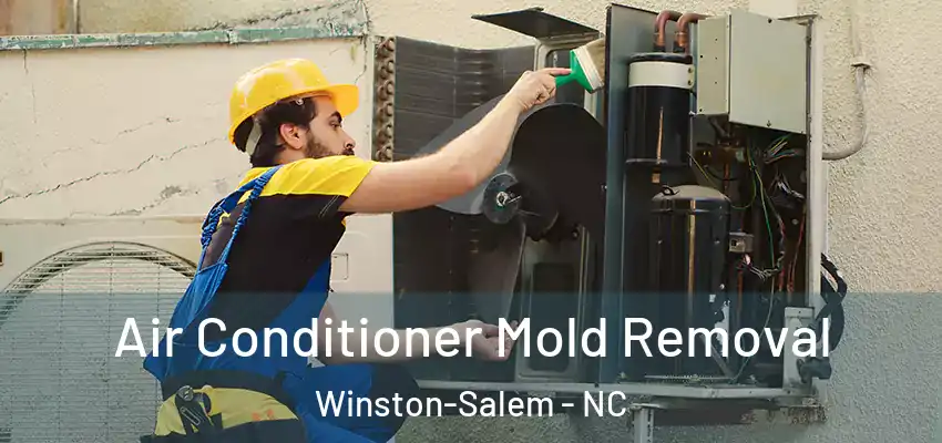  Air Conditioner Mold Removal Winston-Salem - NC