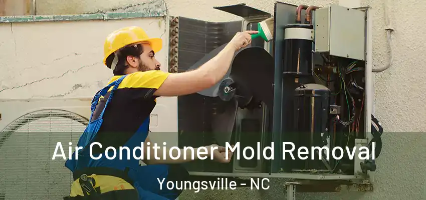 Air Conditioner Mold Removal Youngsville - NC