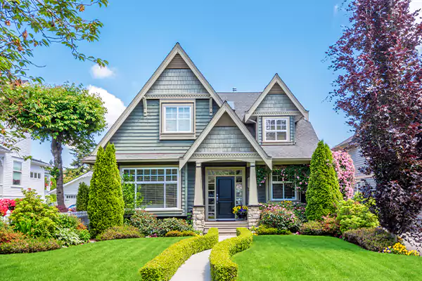 Black Mold Clean Up in Winston-Salem, NC