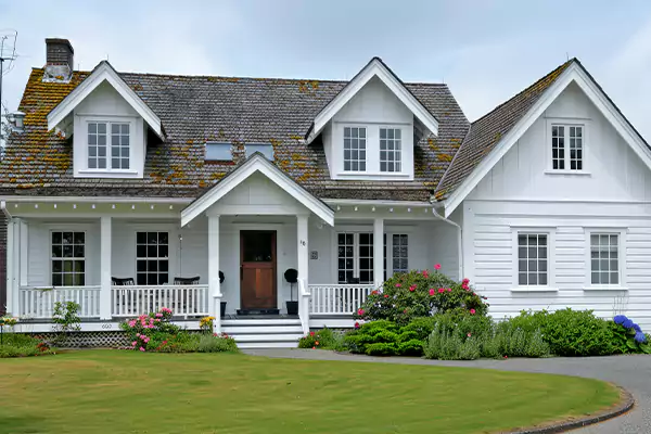 Mold Removal Services in Winston-Salem, NC