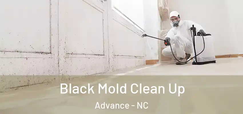  Black Mold Clean Up Advance - NC