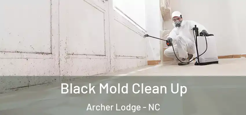 Black Mold Clean Up Archer Lodge - NC