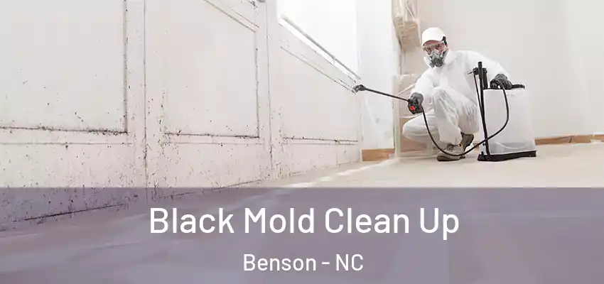  Black Mold Clean Up Benson - NC