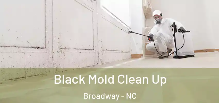 Black Mold Clean Up Broadway - NC