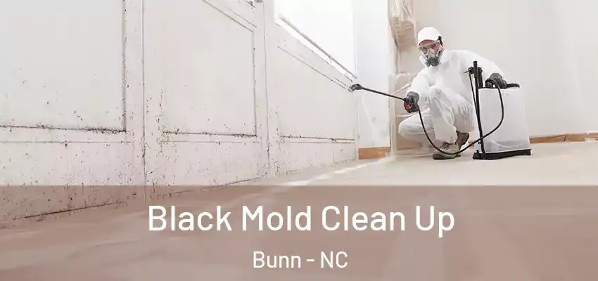 Black Mold Clean Up Bunn - NC