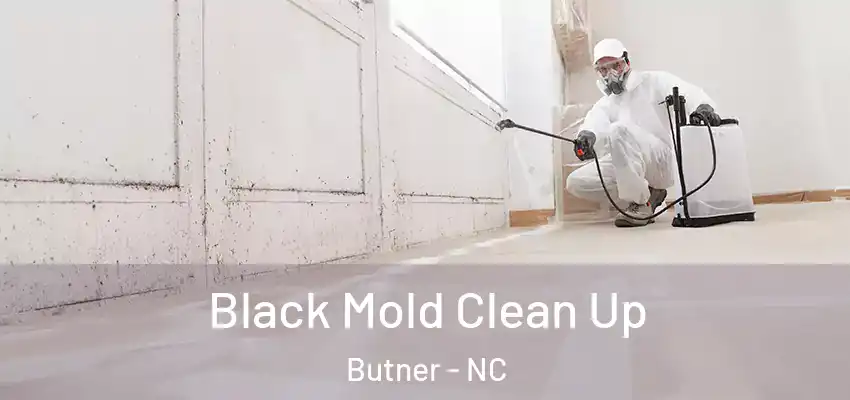  Black Mold Clean Up Butner - NC