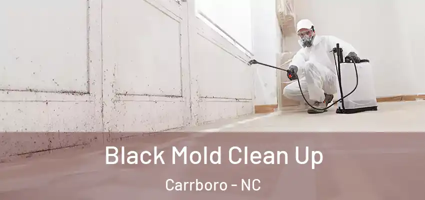 Black Mold Clean Up Carrboro - NC