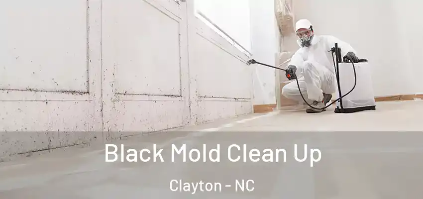 Black Mold Clean Up Clayton - NC