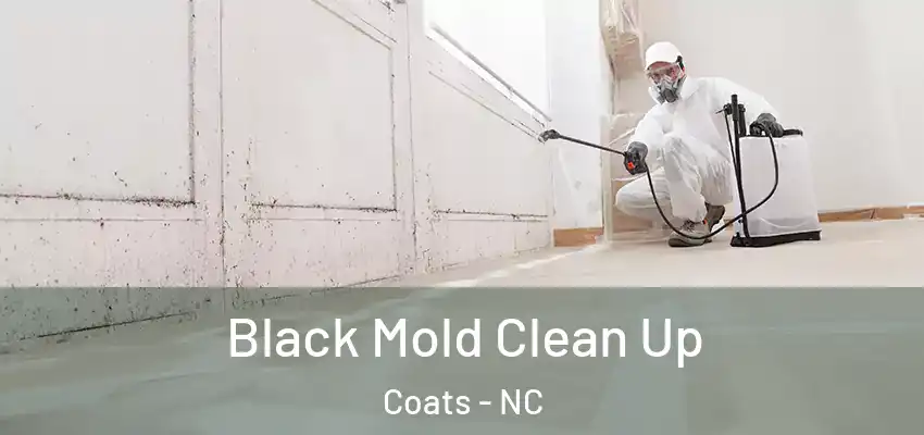  Black Mold Clean Up Coats - NC