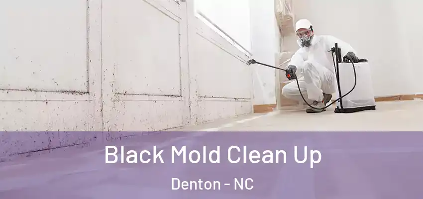 Black Mold Clean Up Denton - NC