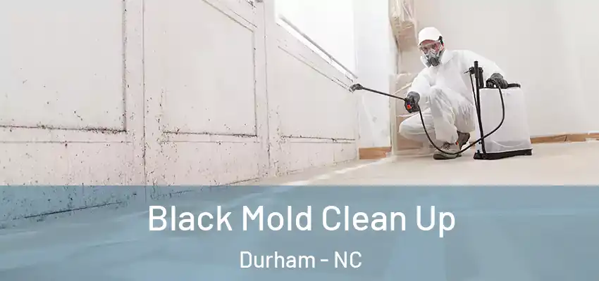  Black Mold Clean Up Durham - NC