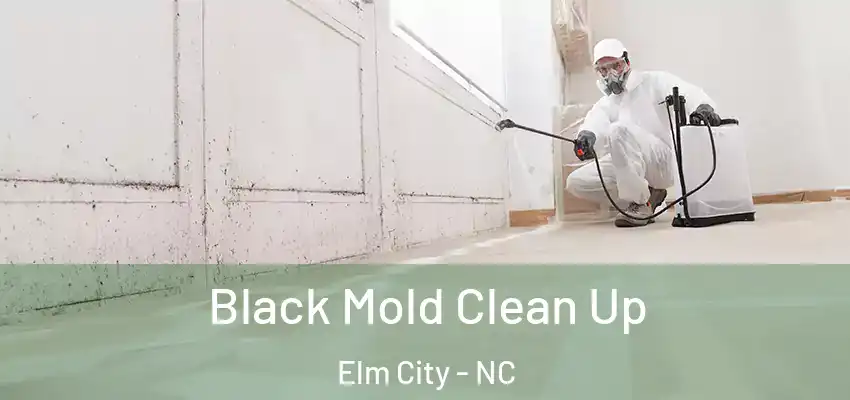  Black Mold Clean Up Elm City - NC