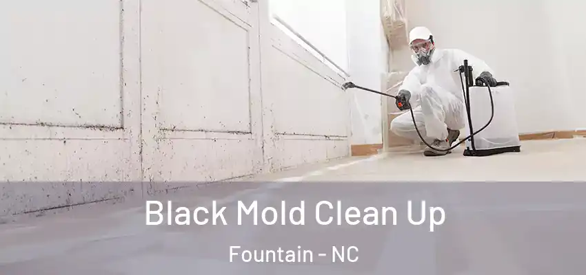  Black Mold Clean Up Fountain - NC