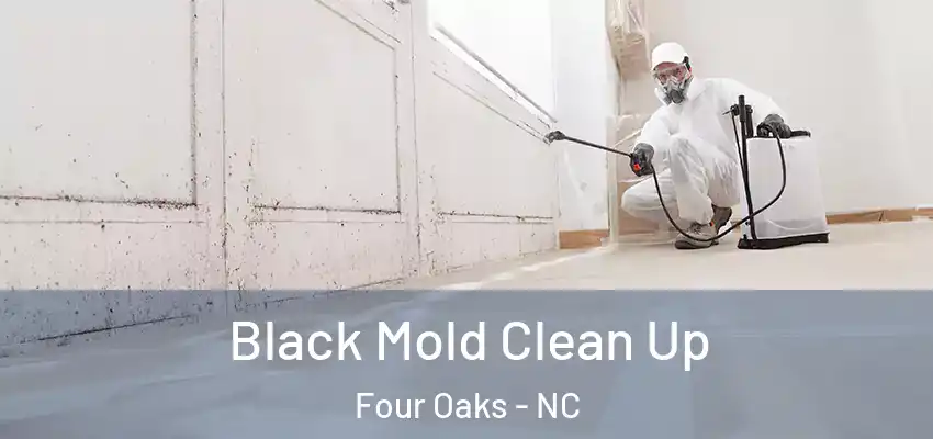 Black Mold Clean Up Four Oaks - NC