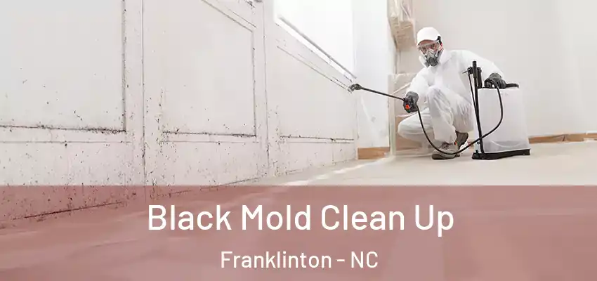  Black Mold Clean Up Franklinton - NC