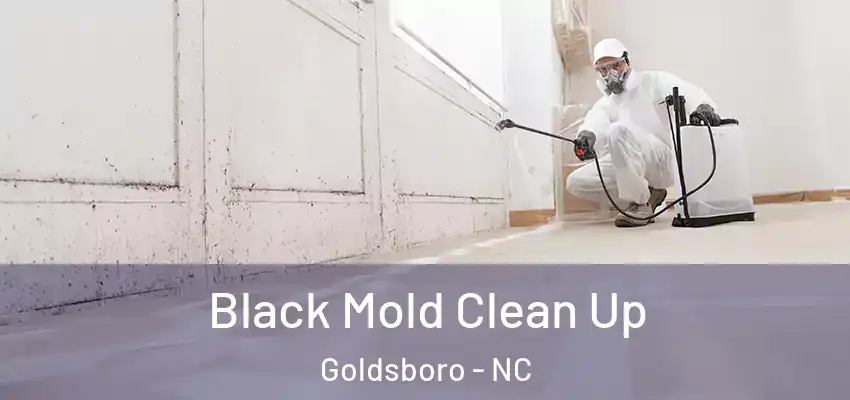  Black Mold Clean Up Goldsboro - NC