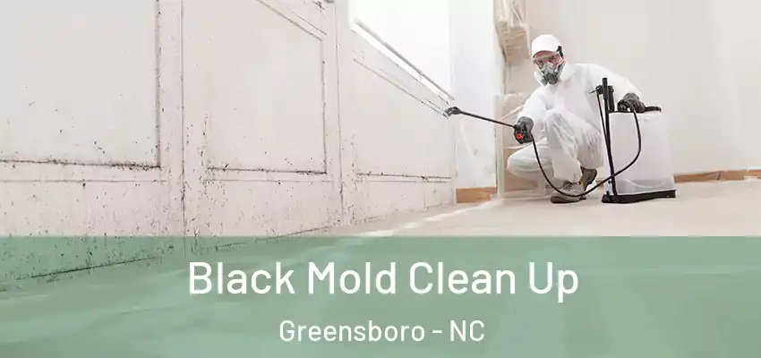  Black Mold Clean Up Greensboro - NC